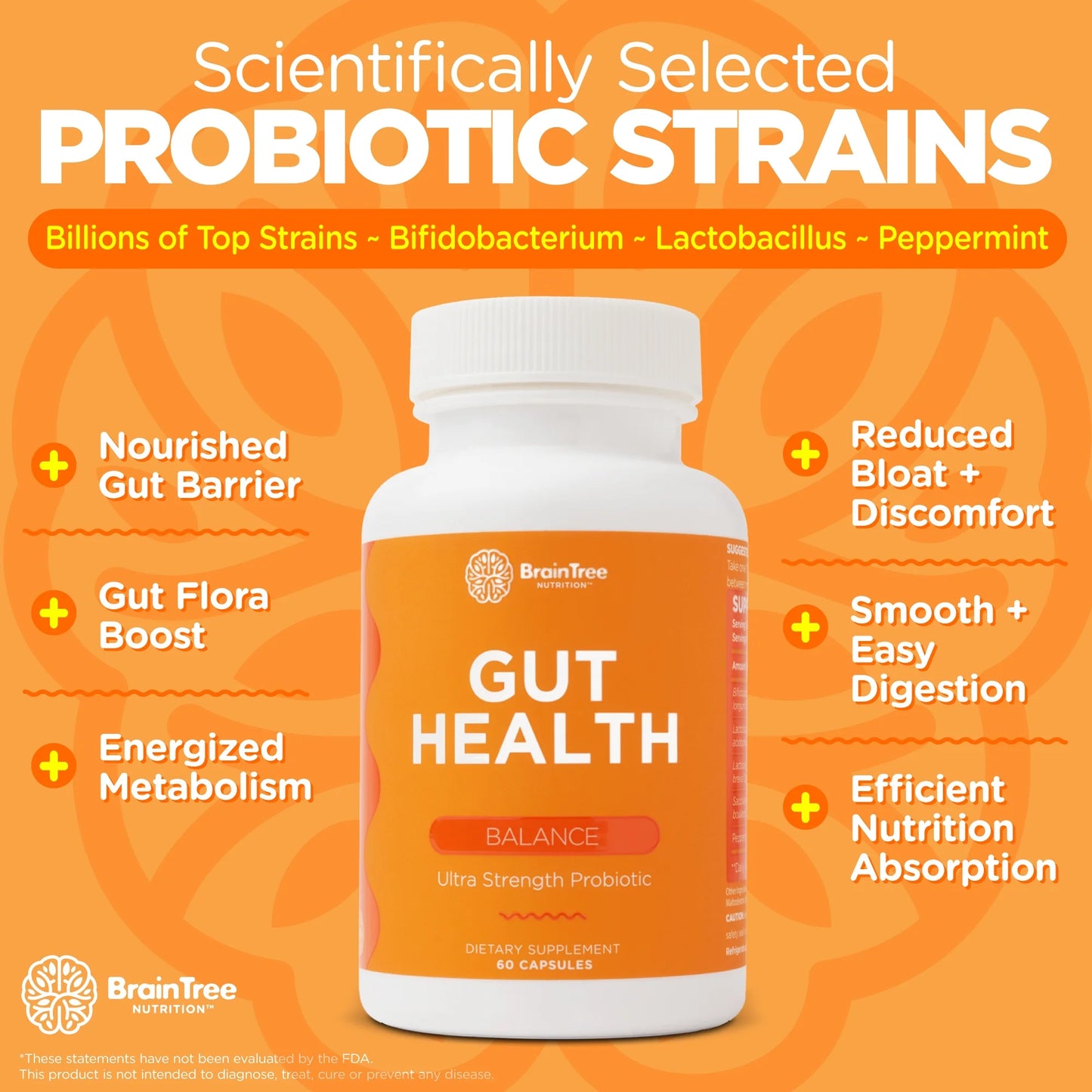 Gut Health: Gut-Brain Strengthening