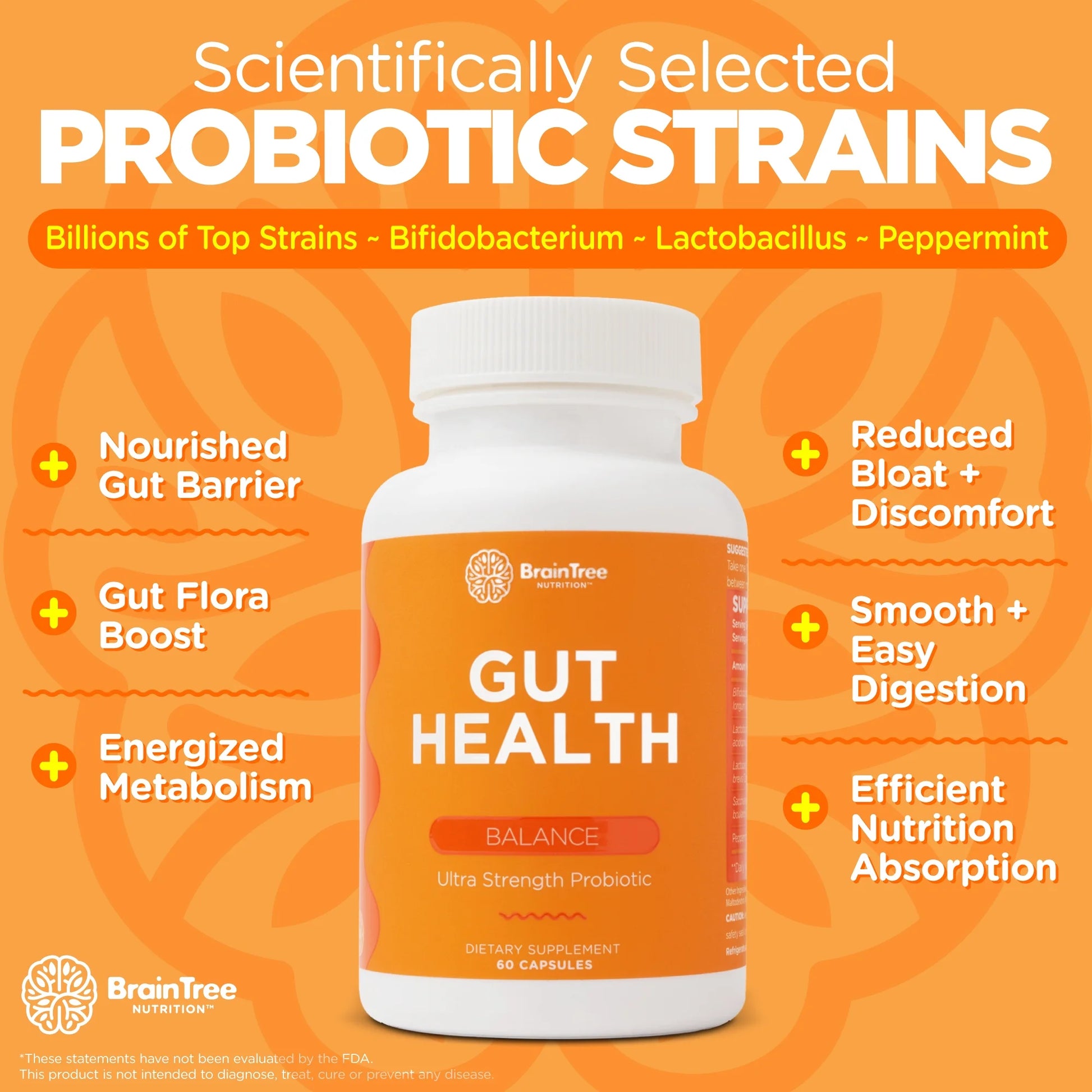 Gut Health: Gut-Brain Strengthening